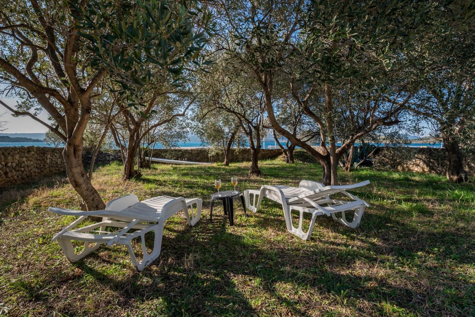 Beachfront Apartment Lostura توراني المظهر الخارجي الصورة